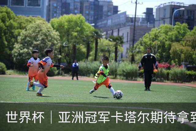 世界杯｜亚洲冠军卡塔尔期待拿到队史首个世界杯积分