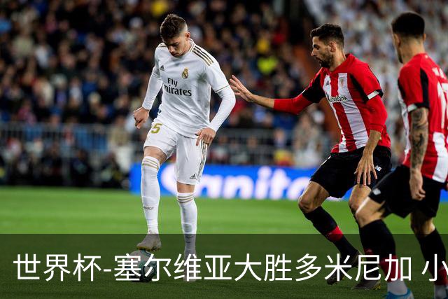 世界杯-塞尔维亚大胜多米尼加 小组第二进八强