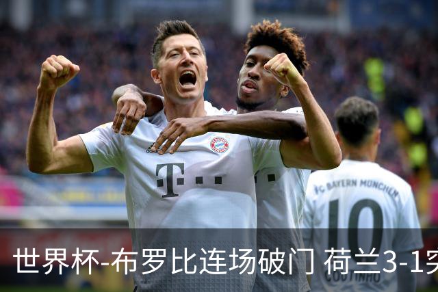 世界杯-布罗比连场破门 荷兰3-1突尼斯获小组头名将战摩洛哥