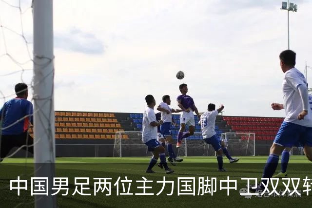 中国男足两位主力国脚中卫双双转会山东足坛，新赛季挑起重担引关注