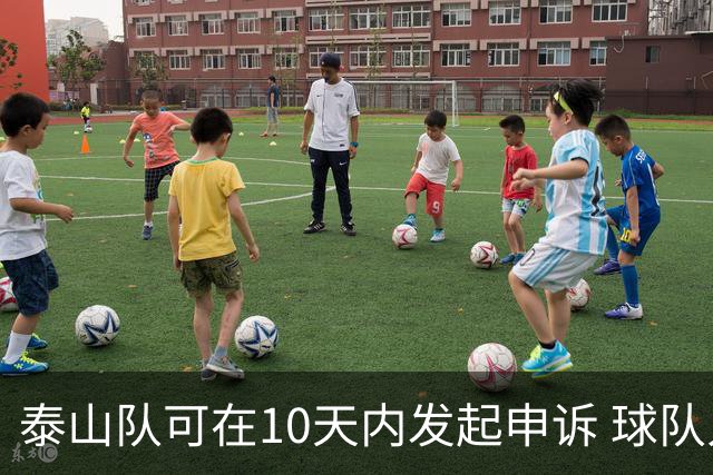 泰山队可在10天内发起申诉 球队人士也一头雾水