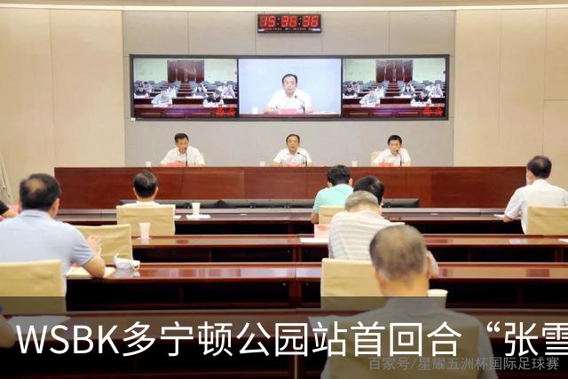WSBK多宁顿公园站首回合“张雪机车”获第八名